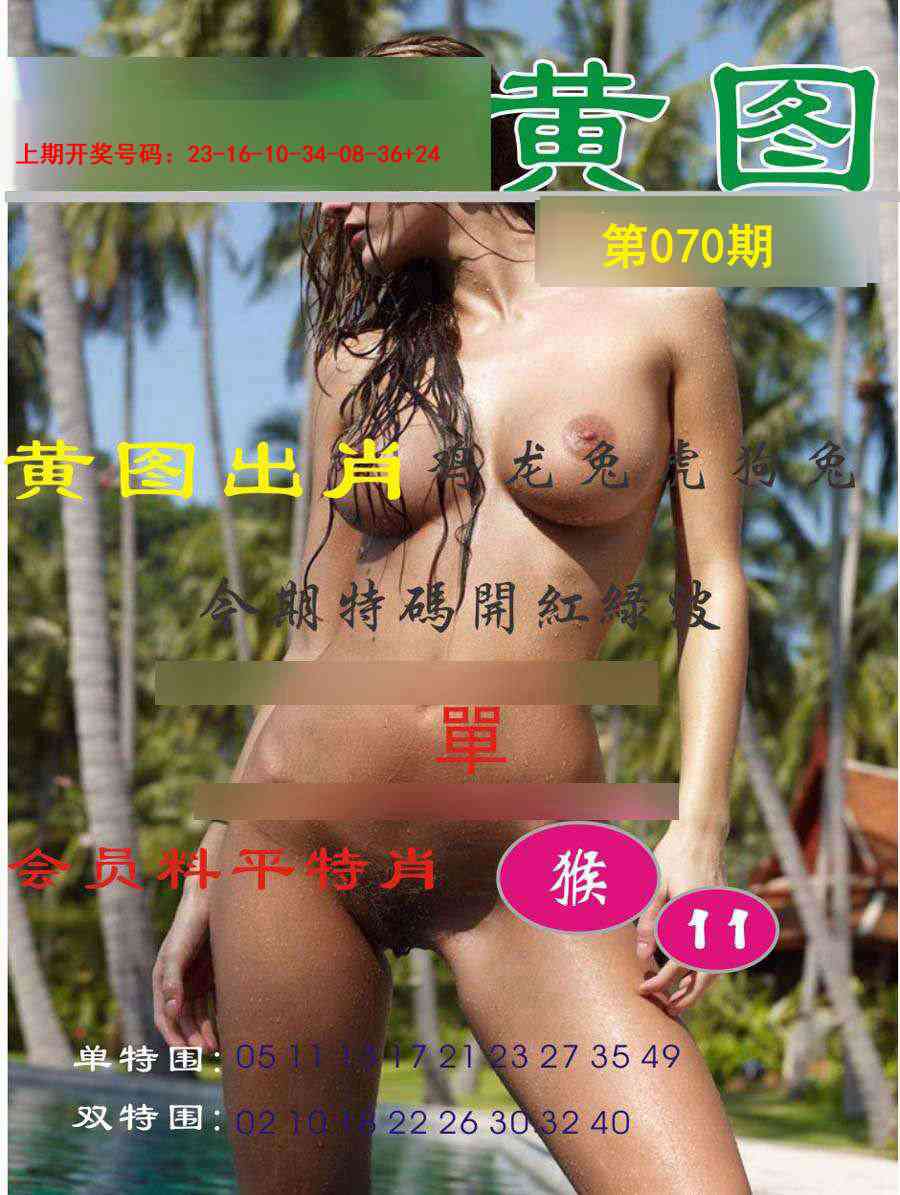 070期黄图[图]