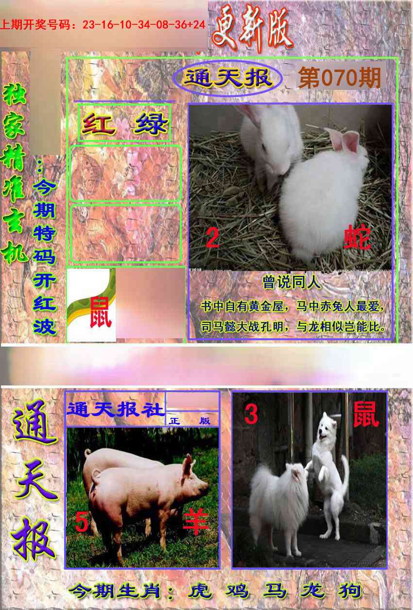 070期新通报[图]