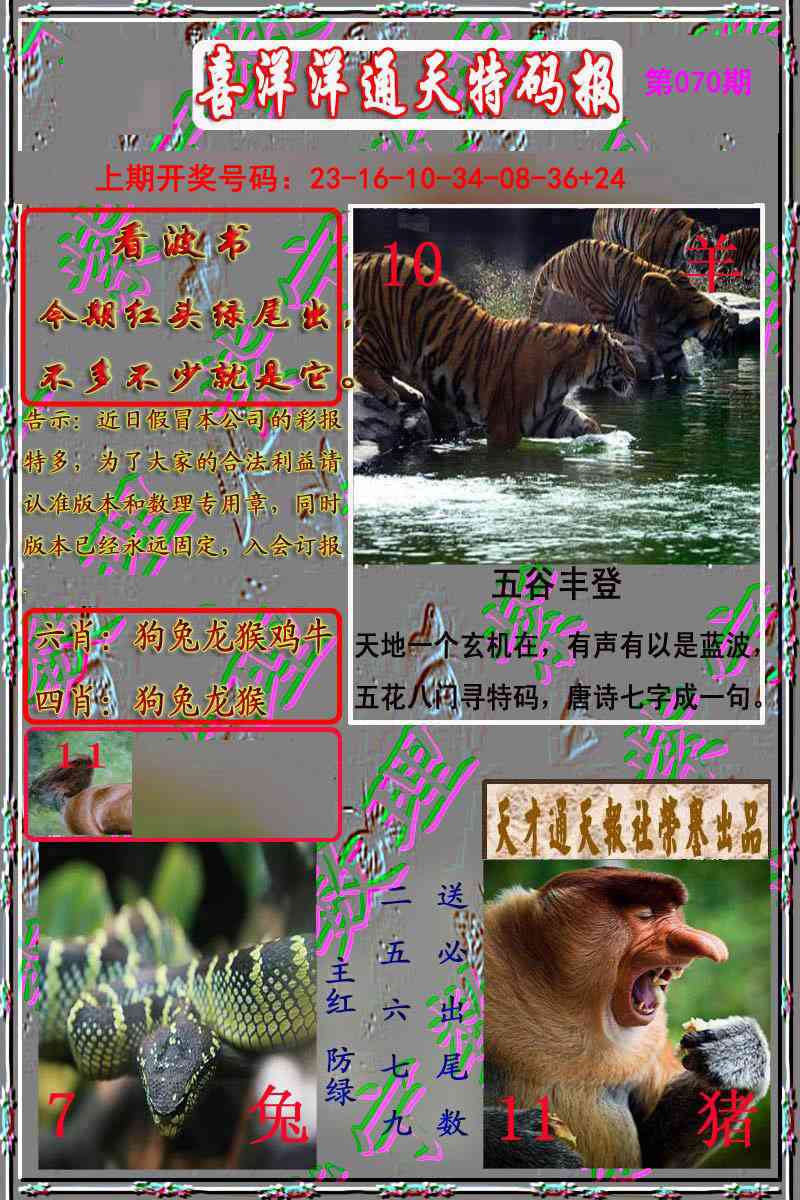 070期洋通报[图]