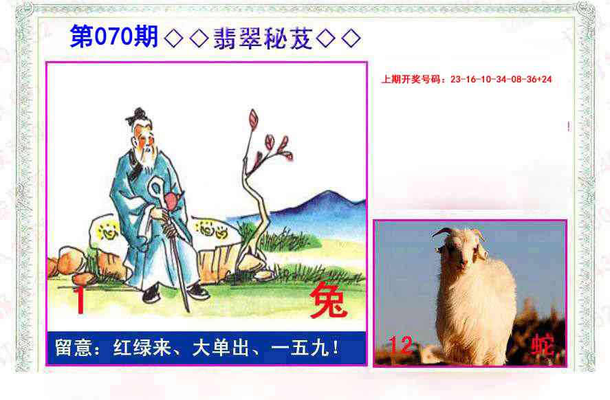 070期翡翠报[图]