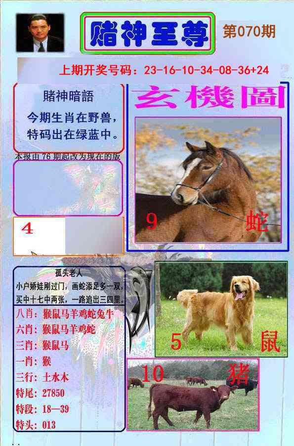 070期赌神至尊[图]