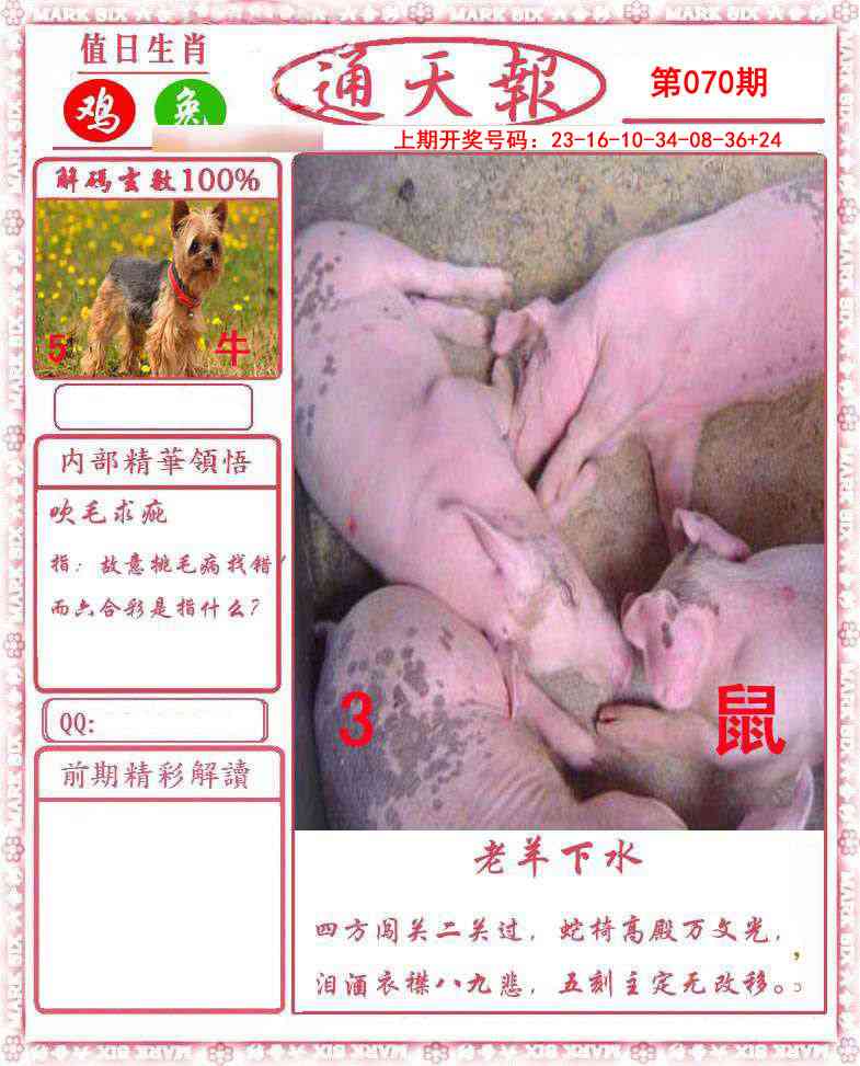 070期正版通天报[图]