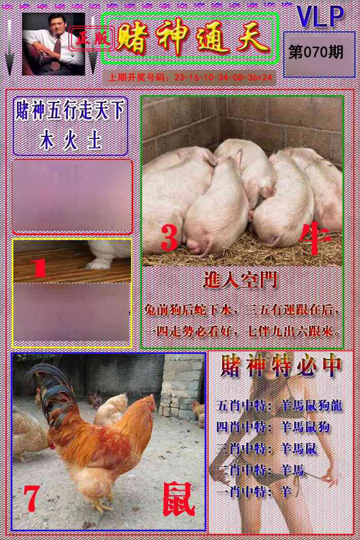 070期赌神通天报[图]
