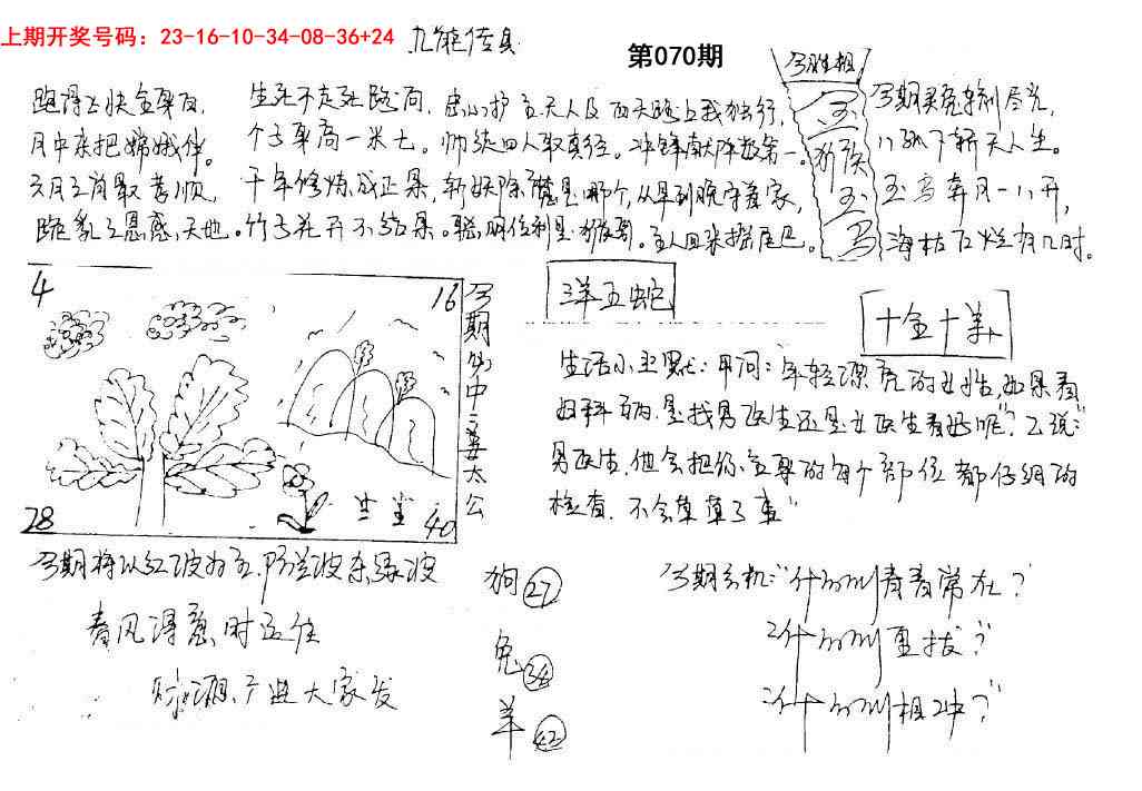 070期手写九龙内幕[图]
