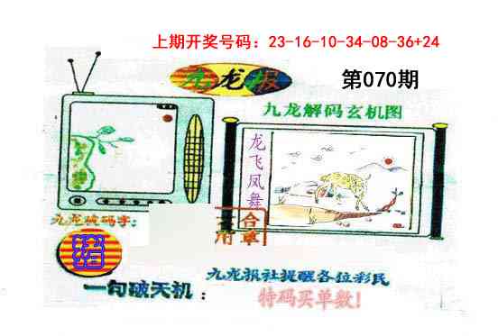070期九龙报[图]