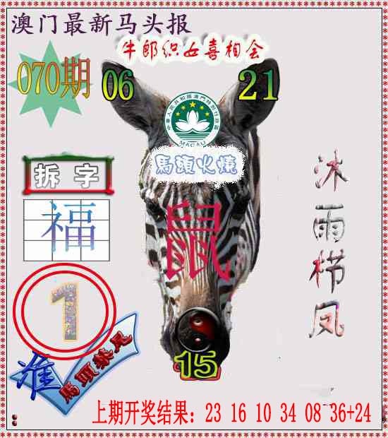 070期马头报[图]