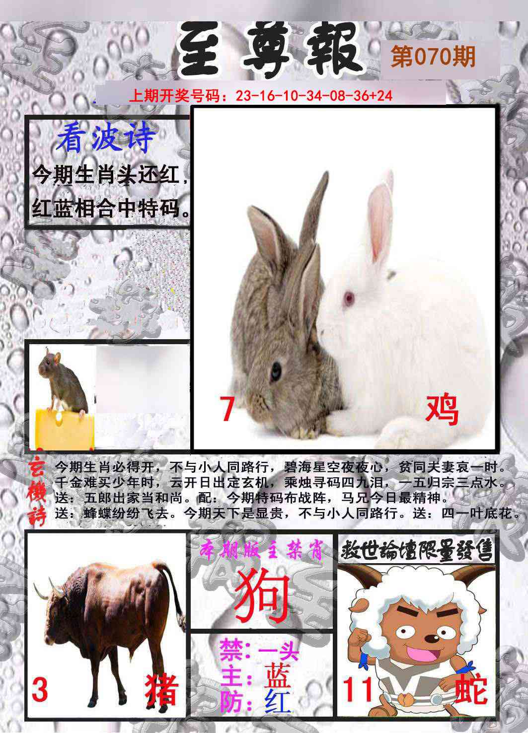 070期至尊报[图]