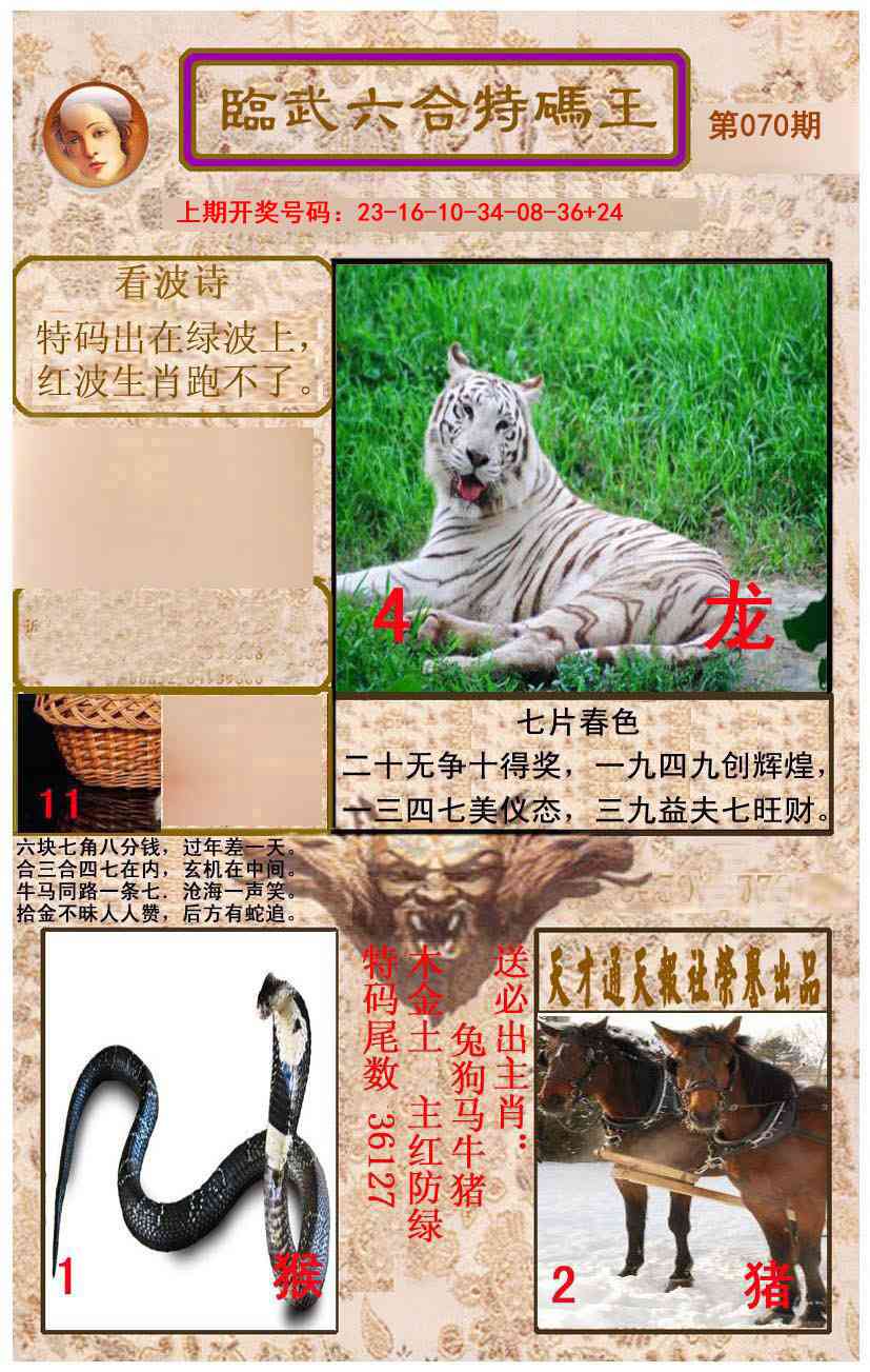 070期临武六合特码王[图]
