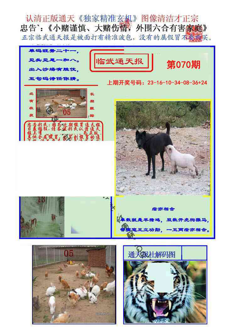 070期临武通天报[图]