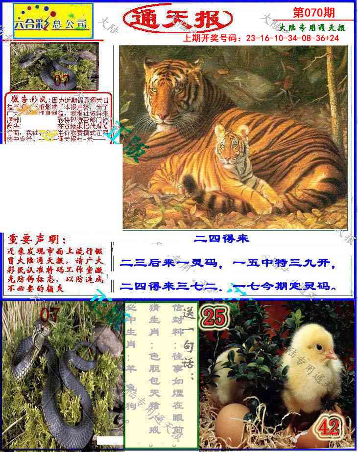 070期大陆通天报[图]