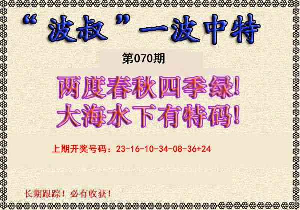 070期波叔一波中特[图]