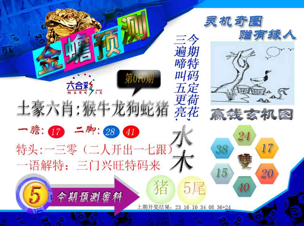 070期金蟾预测[图]