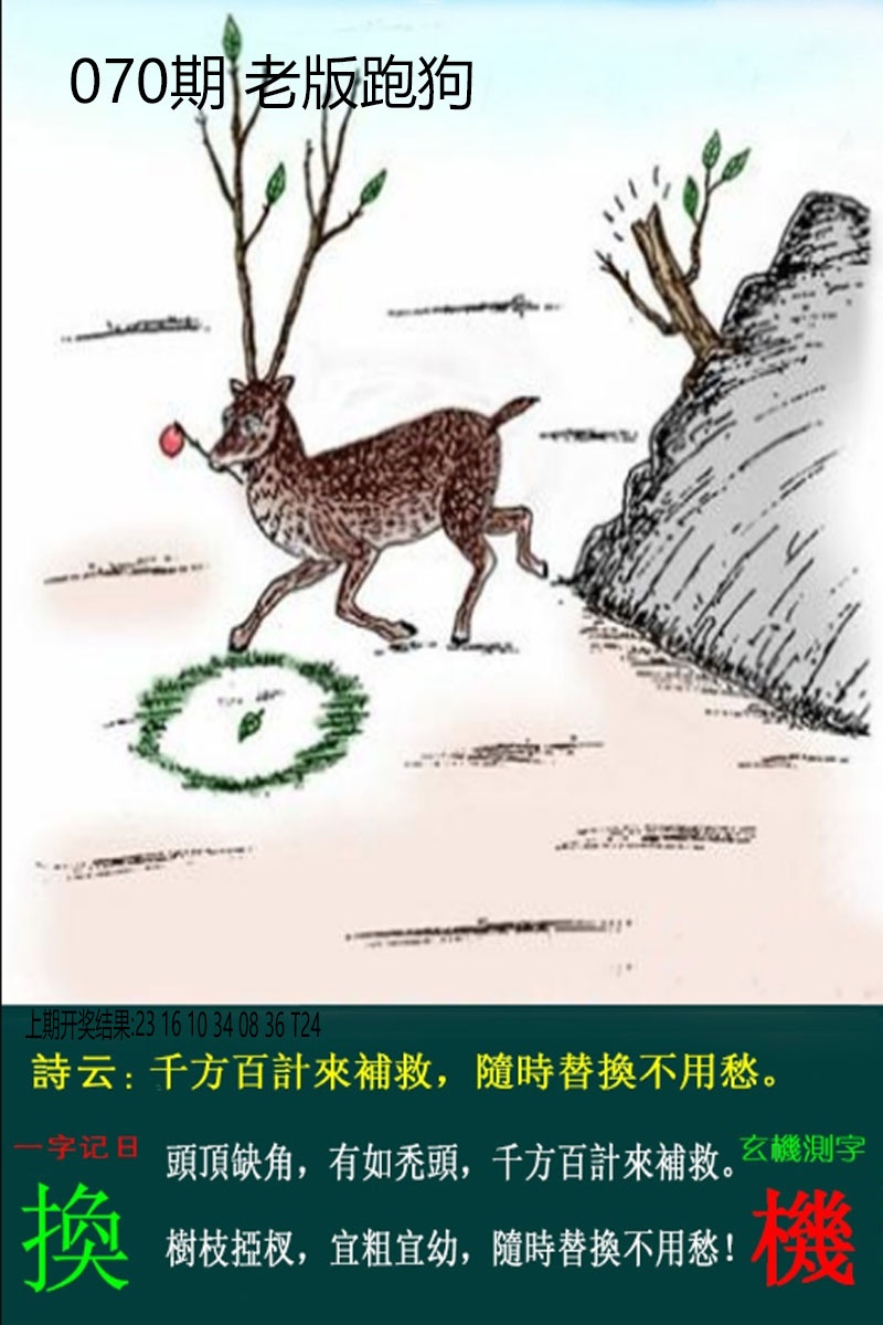 070期老板跑狗[图]