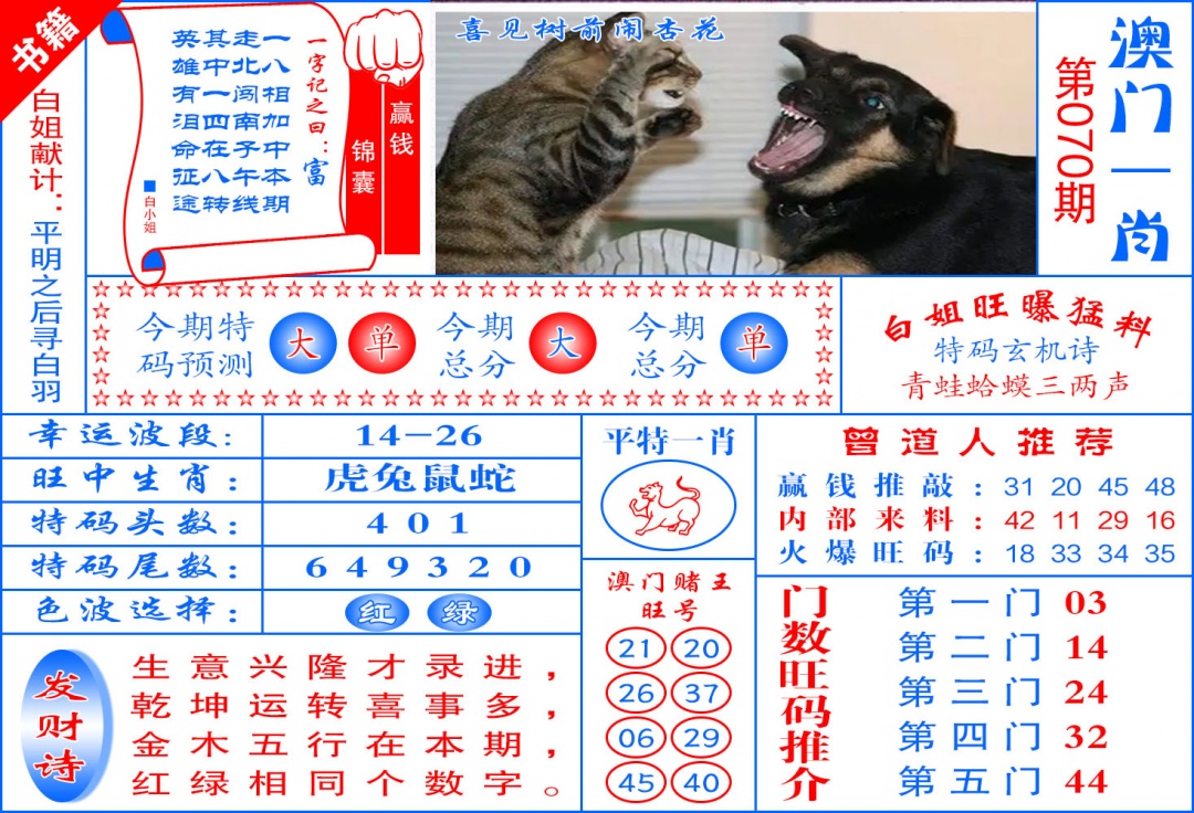 070期澳门东北虎[图]