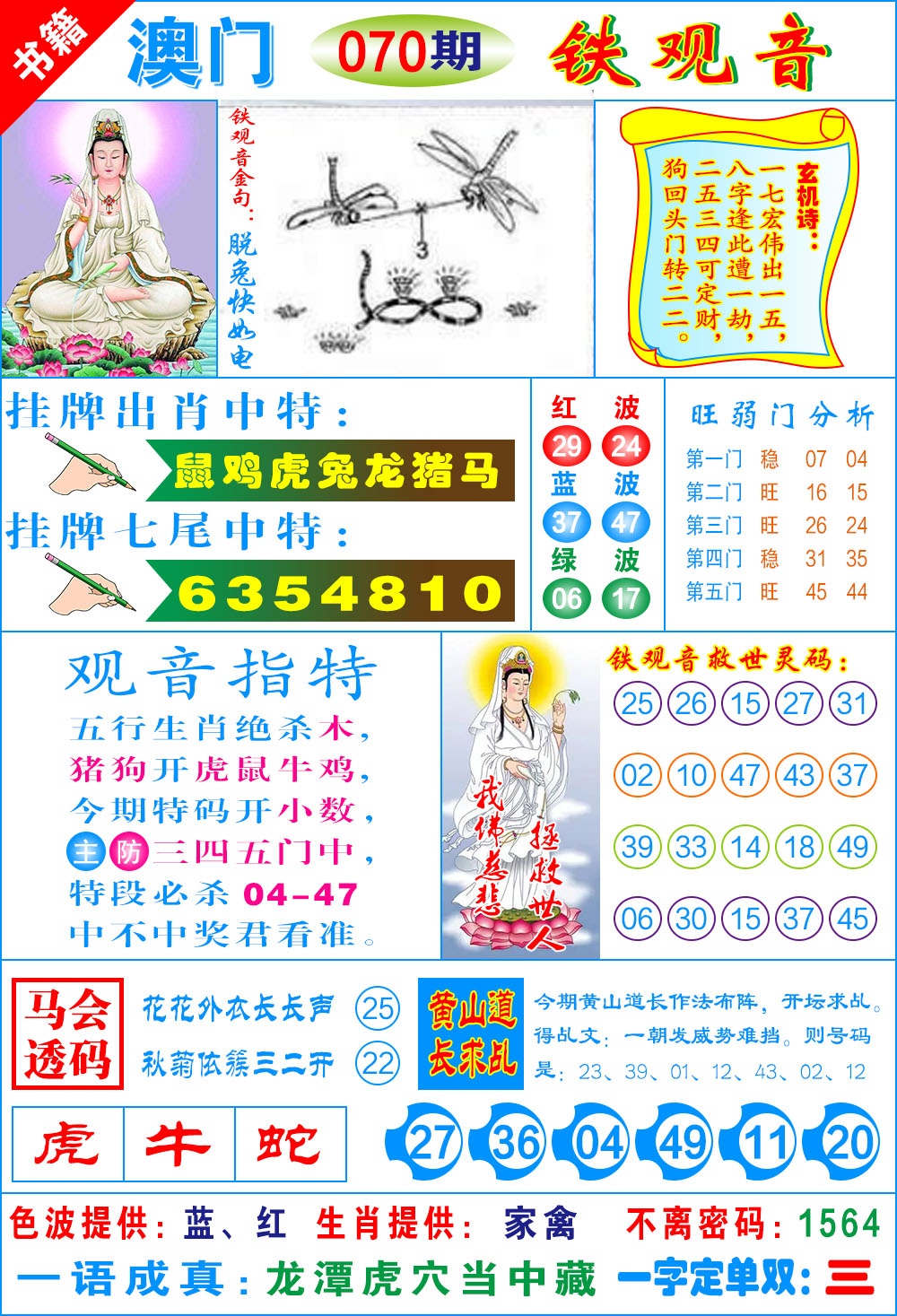 070期澳门铁观音[图]