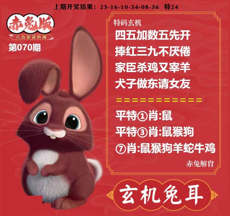 070期玄机兔耳[图]