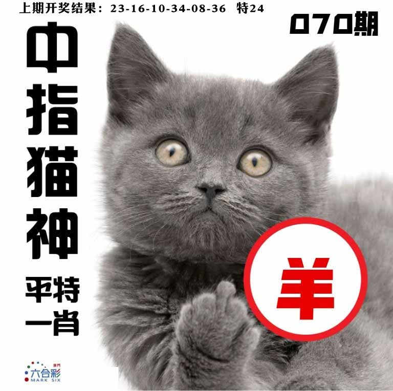 070期中指猫神[图]
